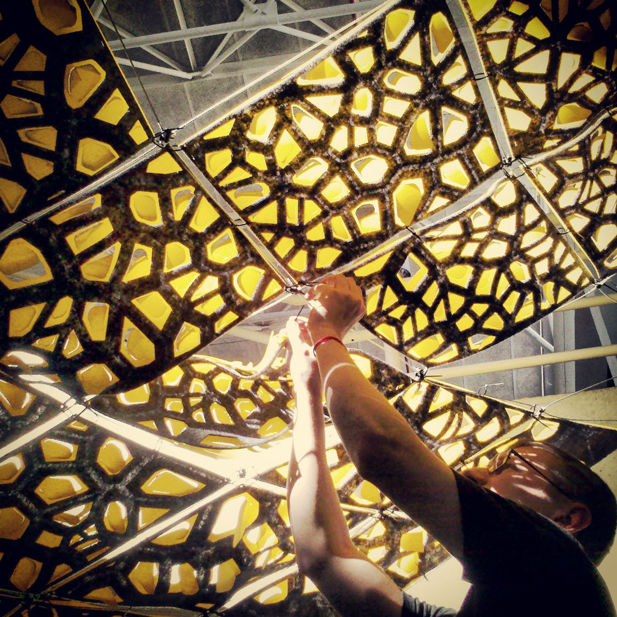 University of Tennessee Conference Room Ceiling